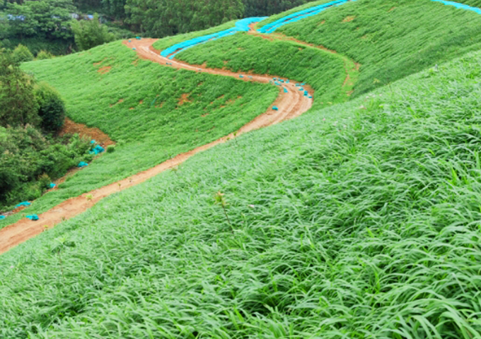 南嶺國(guó)家公園環(huán)丹霞山片區(qū)生態(tài)環(huán)境系統(tǒng)保護(hù)修復(fù)工程（湞江區(qū)煤矸石礦區(qū)遺址生態(tài)環(huán)境修復(fù)治理）設(shè)計(jì)、施工總承包